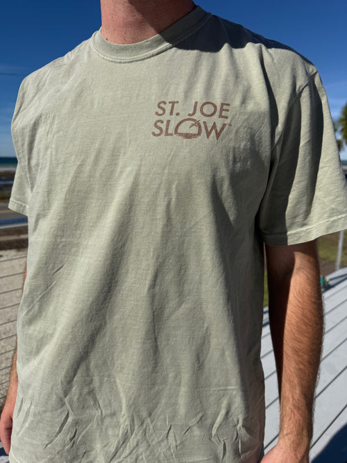 Dog-Friendly Beaches